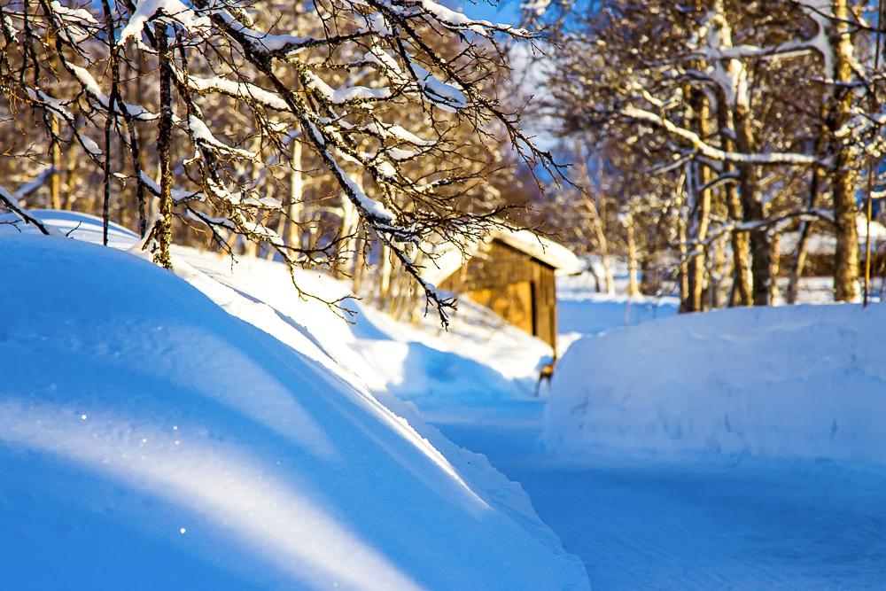 glitter snow winter norway