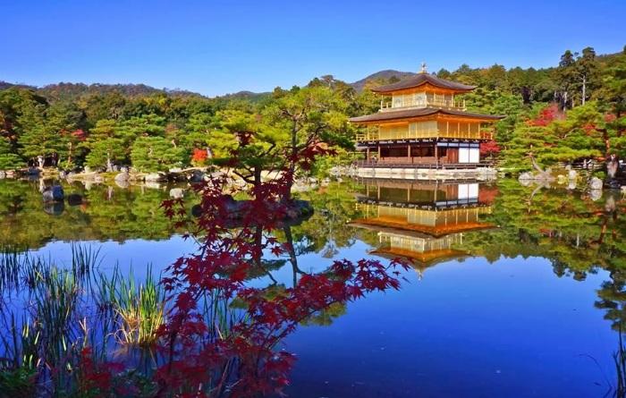 Golden Temple Fall Kyoto