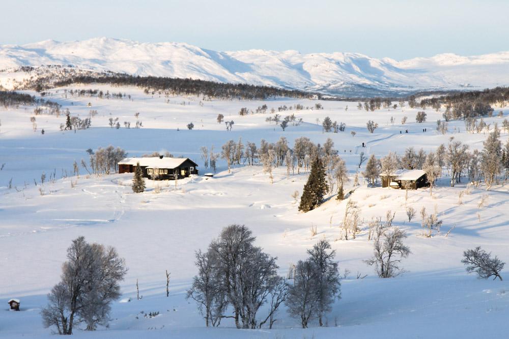 Rauland Telemark Norway