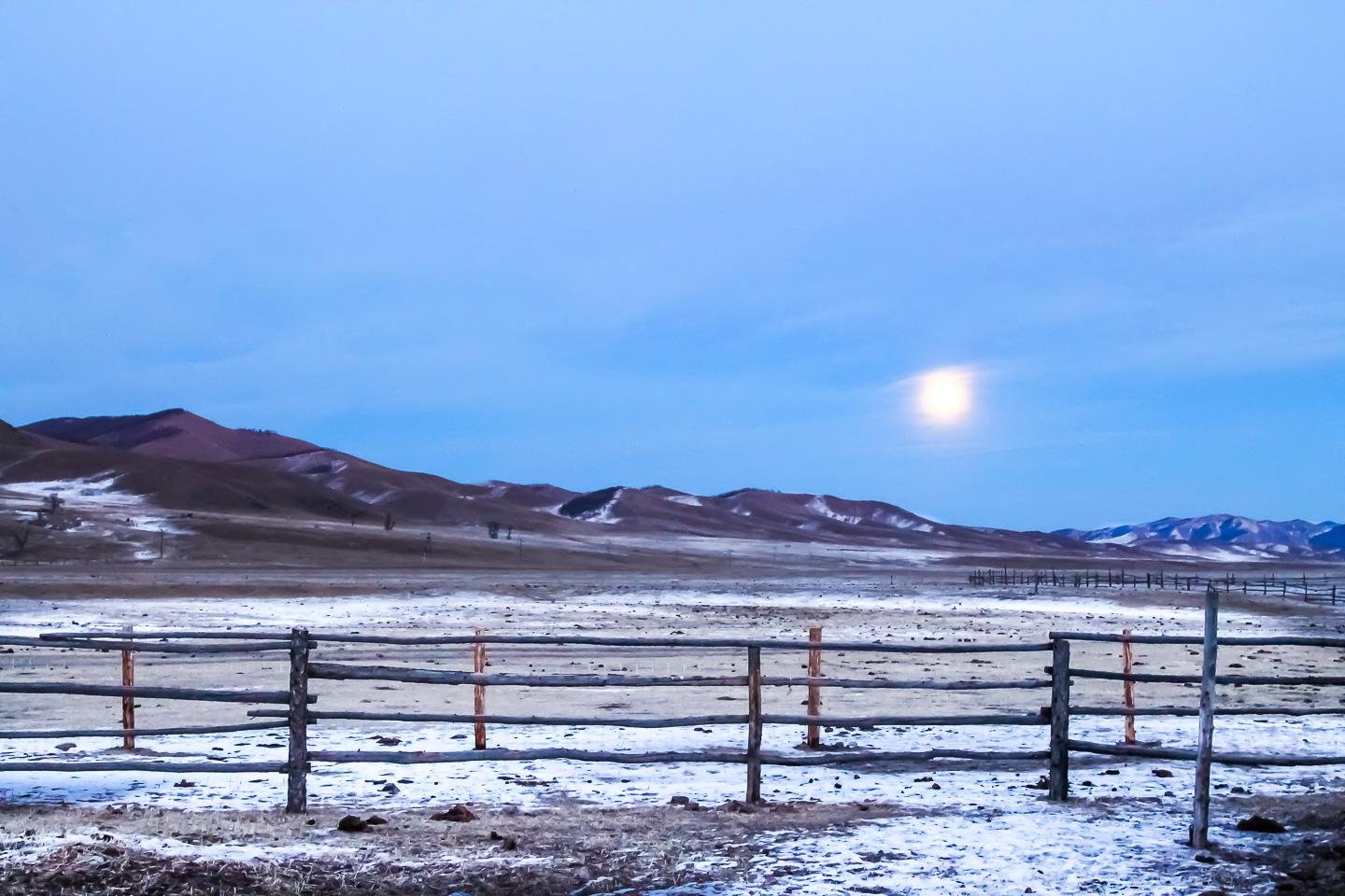 mongolian holidays winter ger