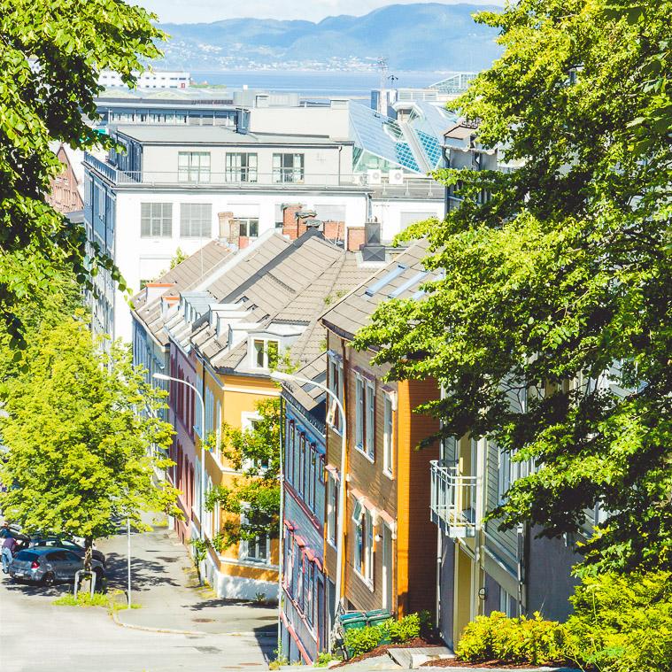 Møllenberg, Trondheim