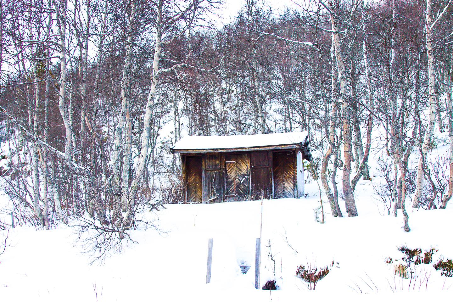 outhouse norway cabin