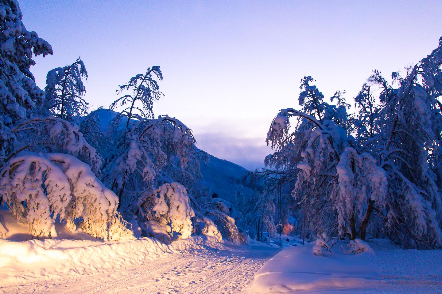winter Rauland Norway