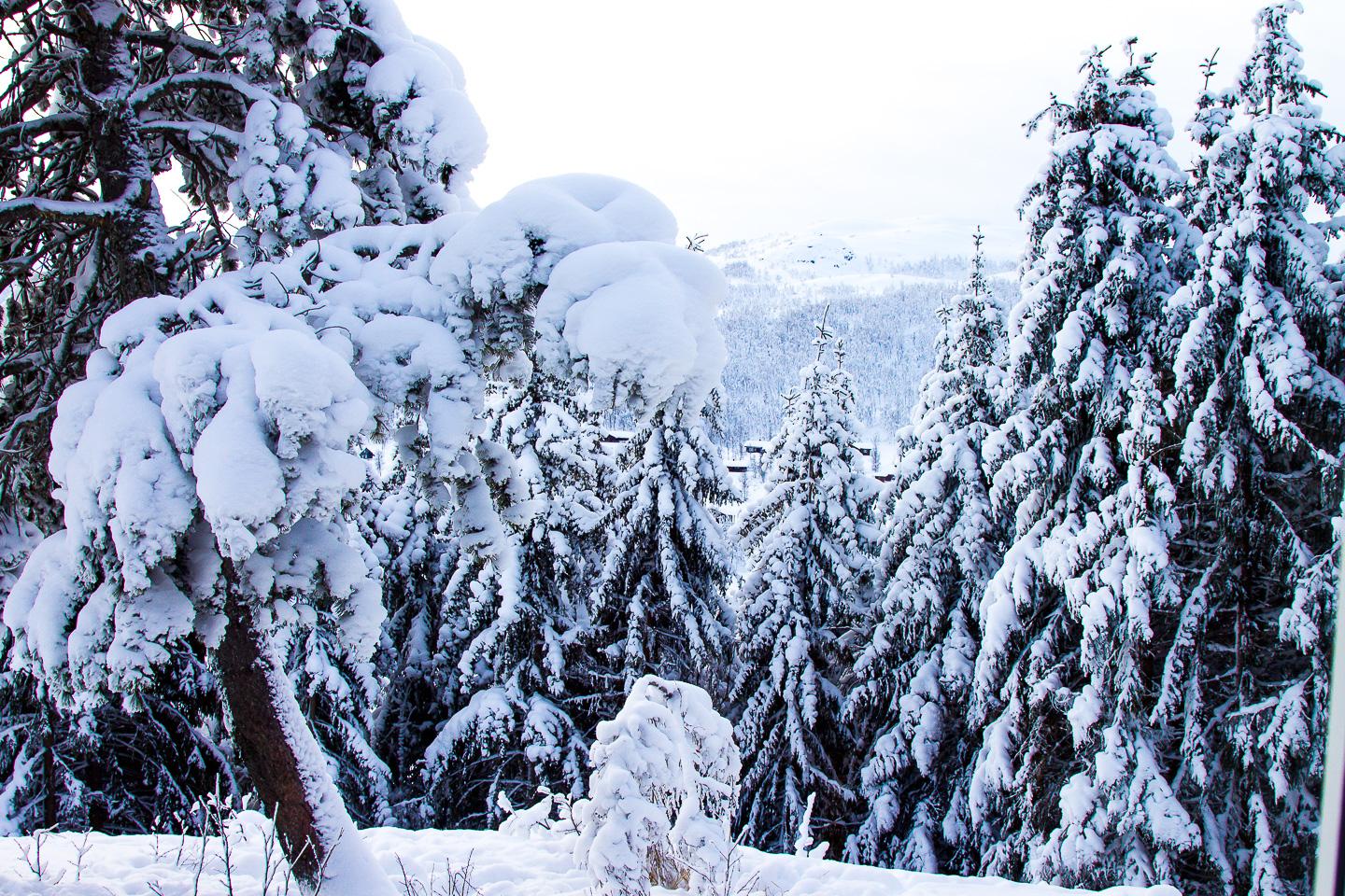 winter Rauland Norway