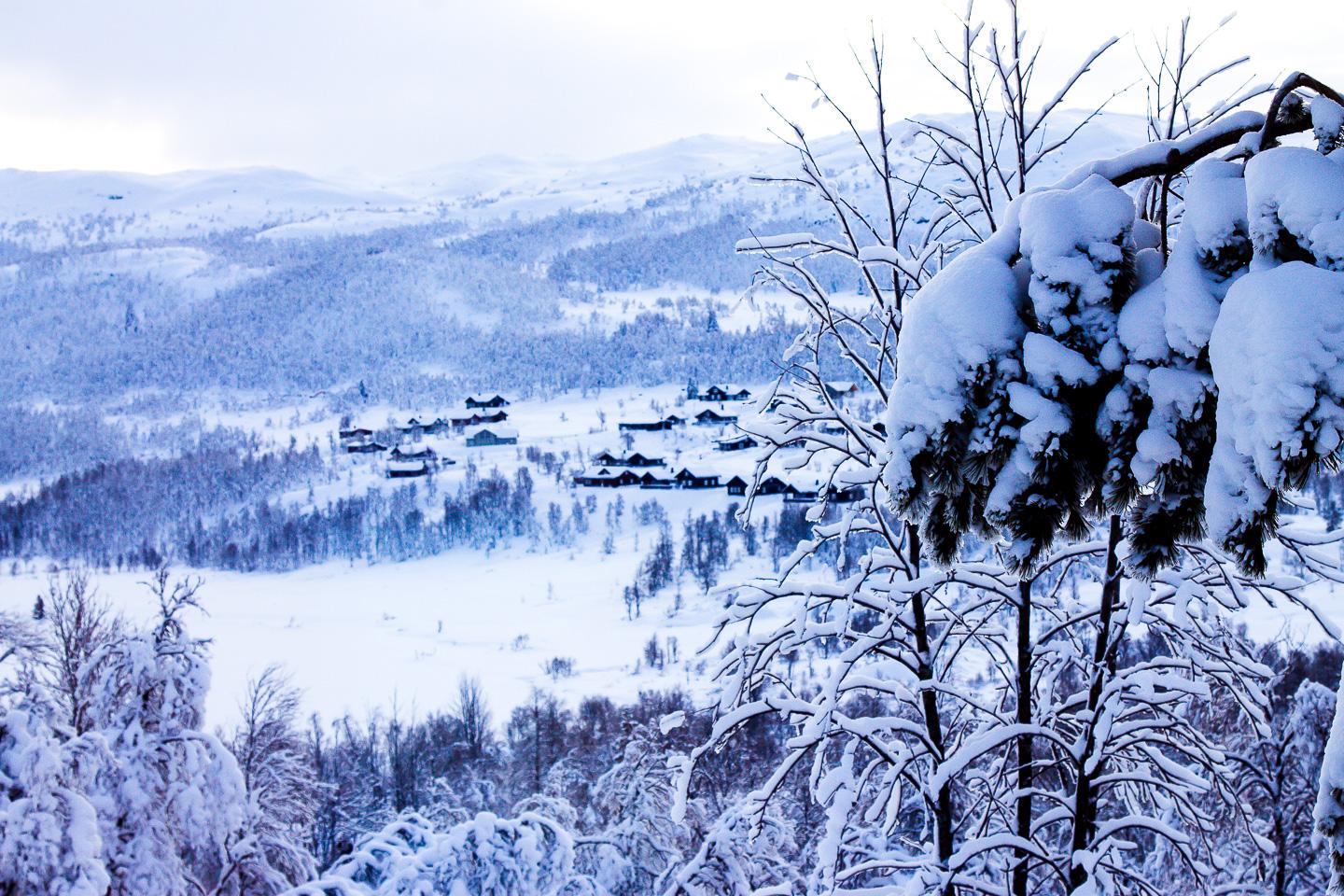 winter Rauland , Telemark Norway