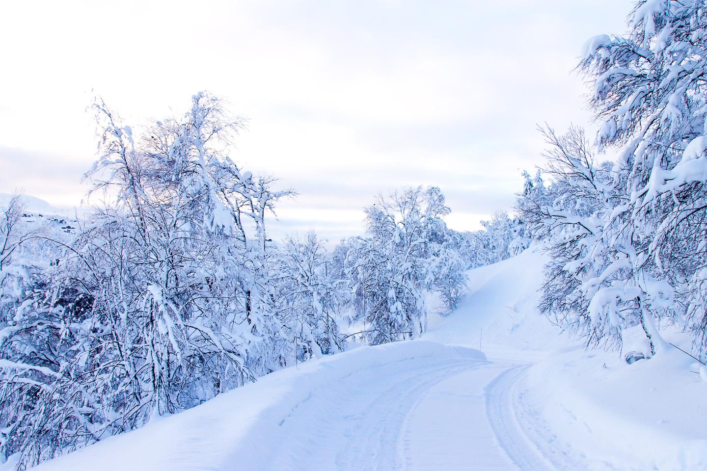 Rauland Telemark Norway