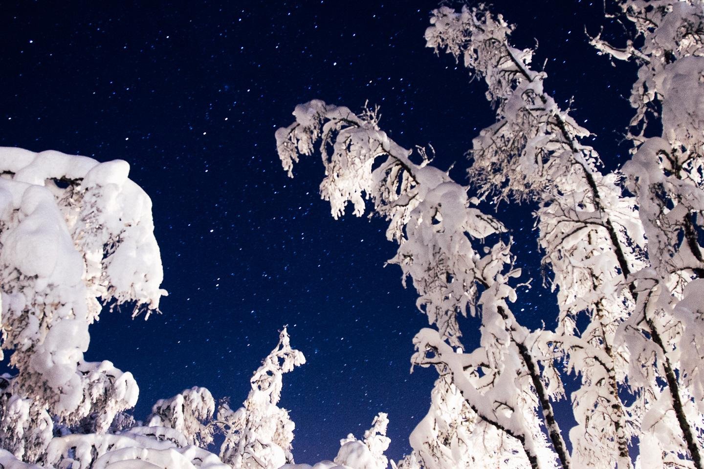 Vinje Telemark Norway winter