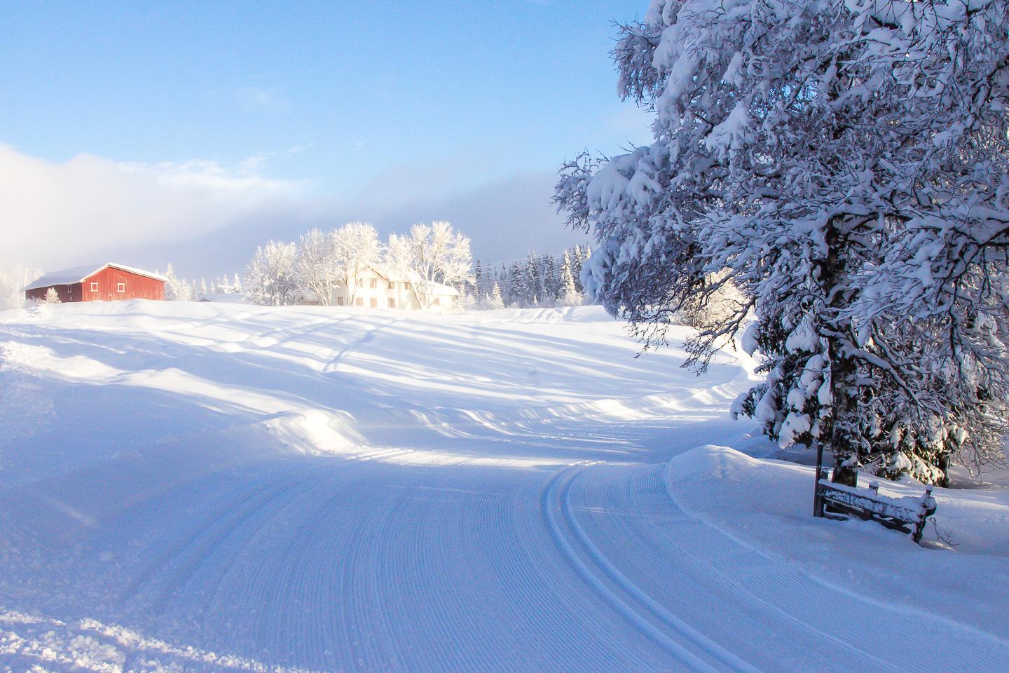 cross-country skiing Rauland Telemark Norway