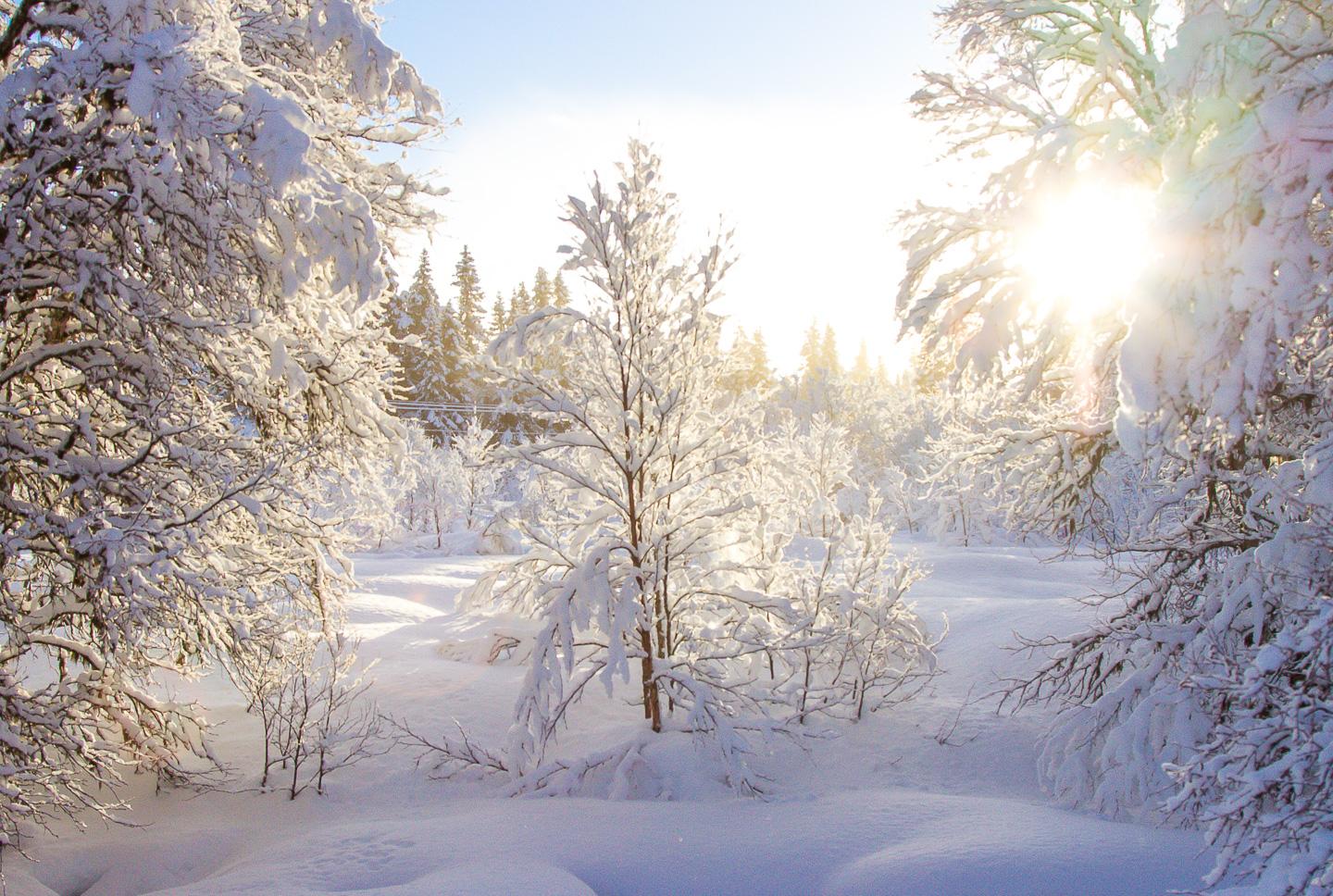 cross-country skiing Rauland Telemark Norway