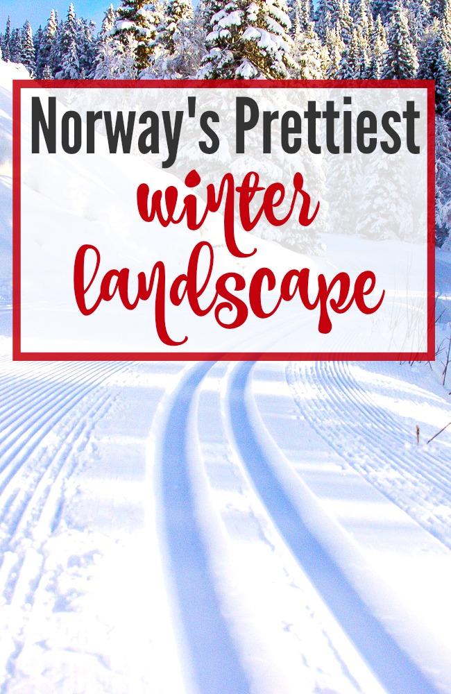 Want to see Norway in all its winter glory? Travel to Rauland, a mountain town in Telemark with some of Norway's prettiest winter views. Click through for photos!