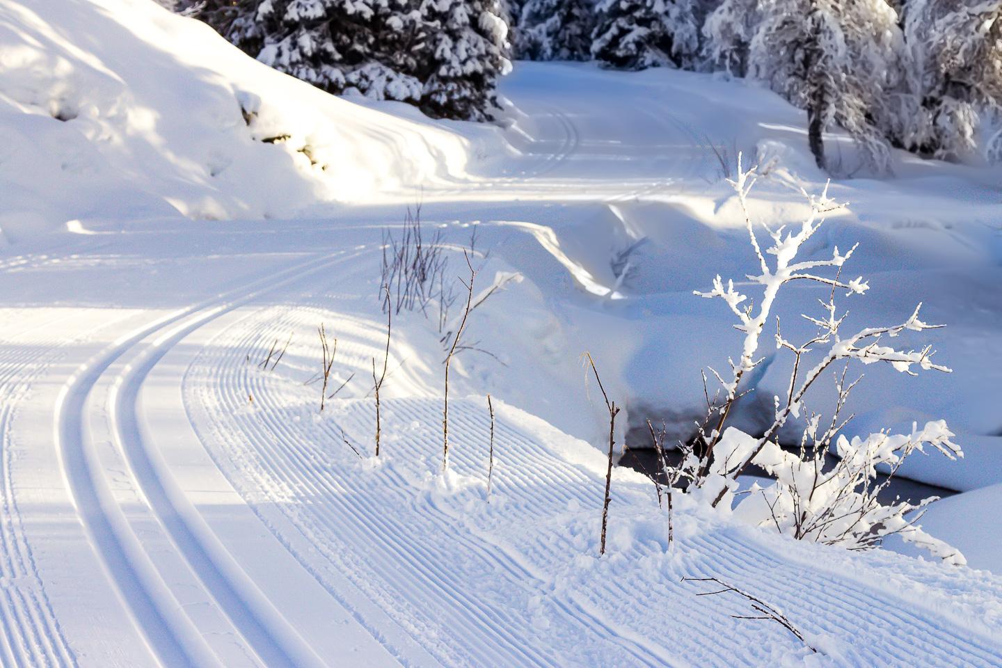 cross-country skiing Rauland Telemark Norway