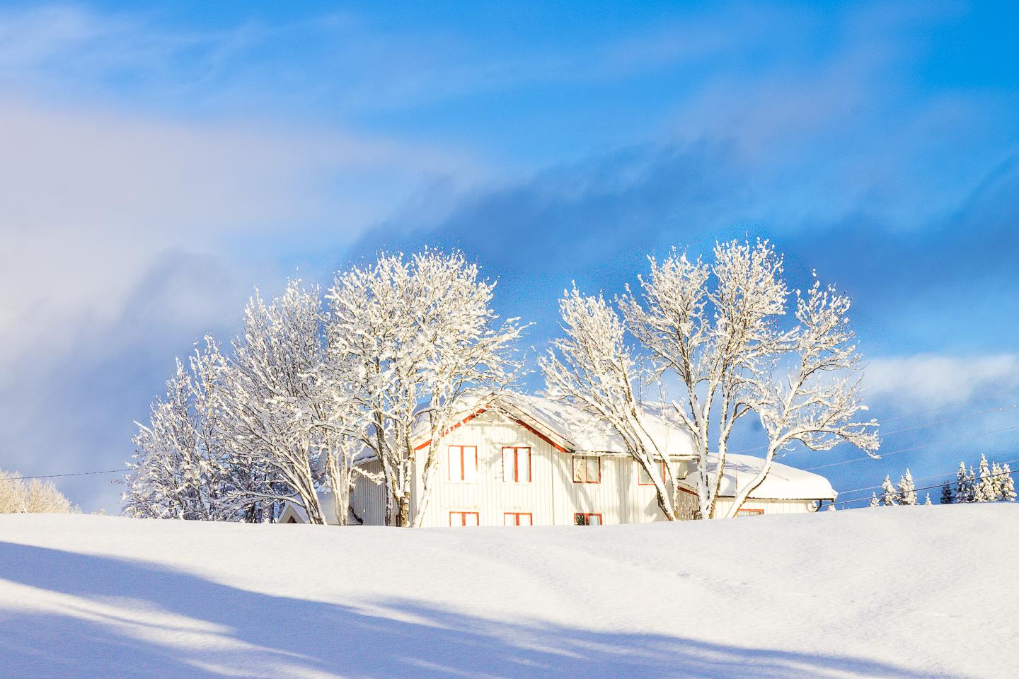 winter Rauland Telemark Norway