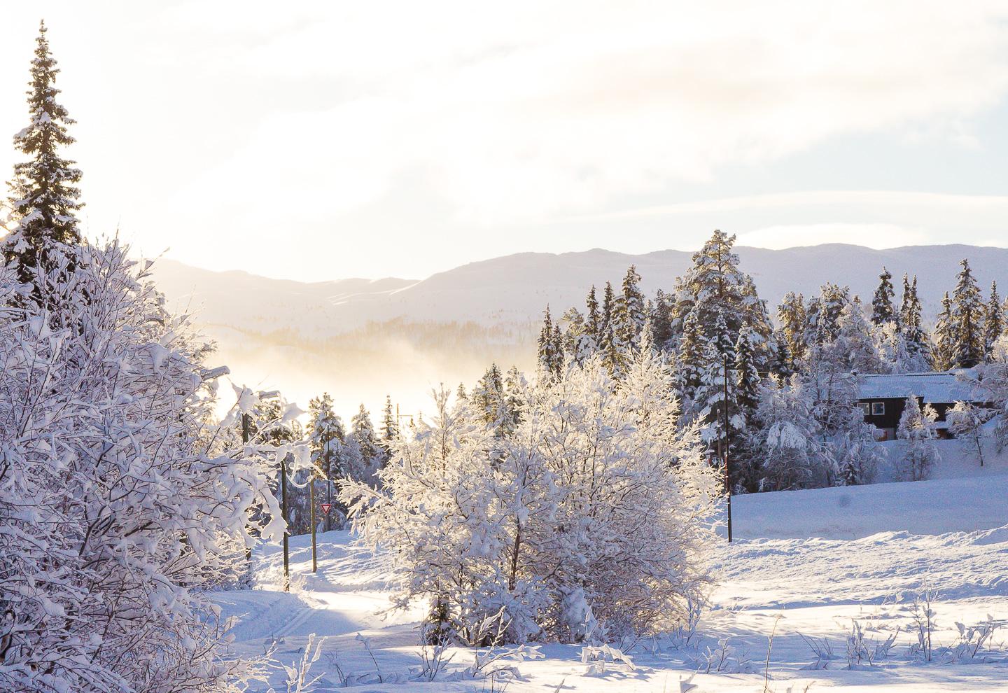 winter Rauland Telemark Norway