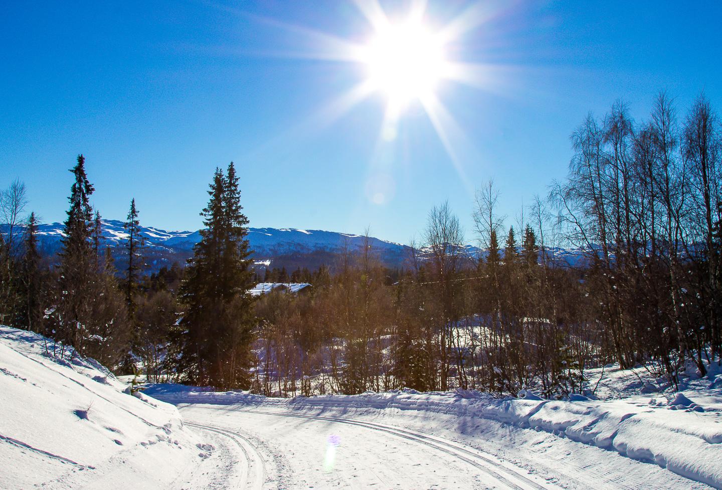 winter rauland norway