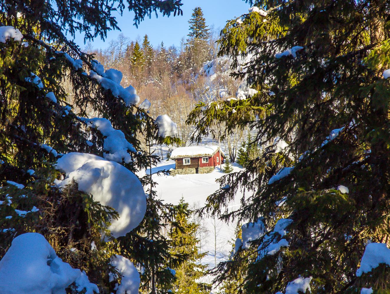 winter rauland norway