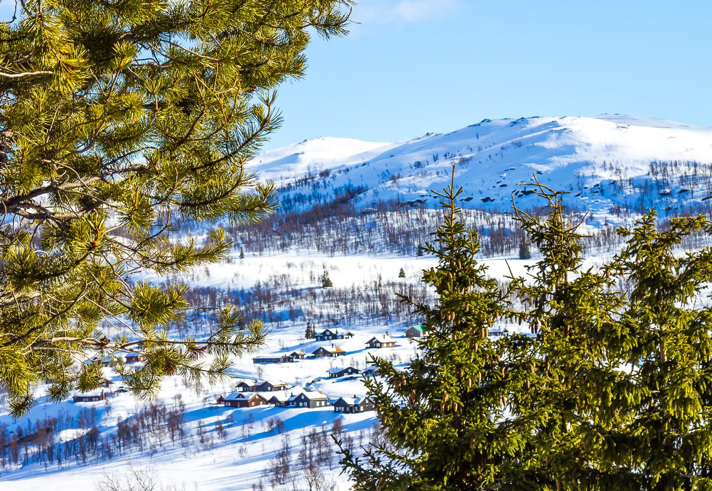 spring rauland telemark norway