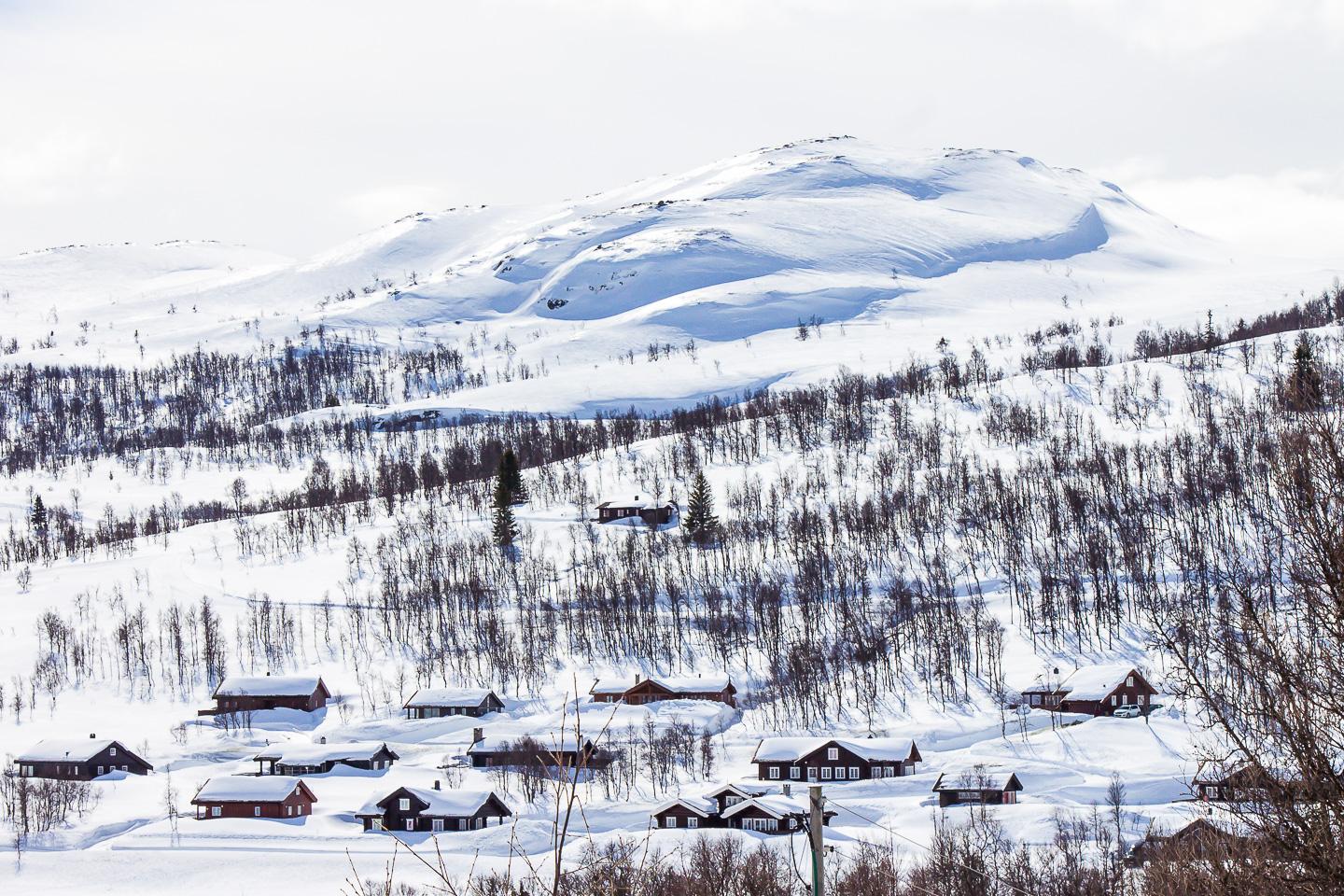 winter rauland telemark