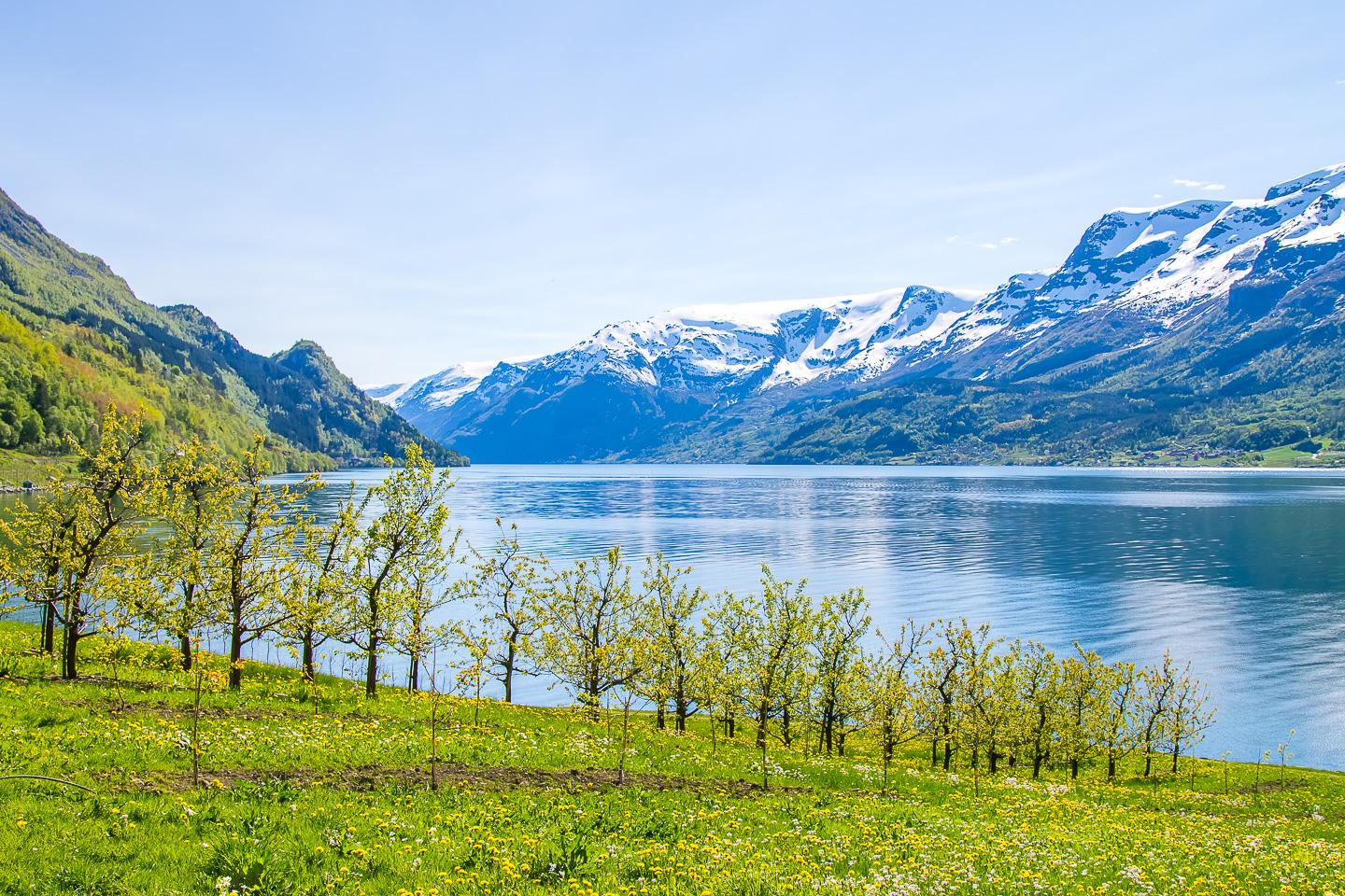 Ullensvang Hardanger Norway