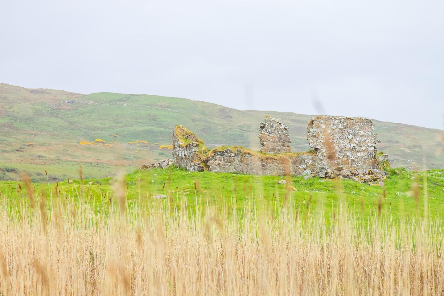 Finlaggan Islay Lord of Isles