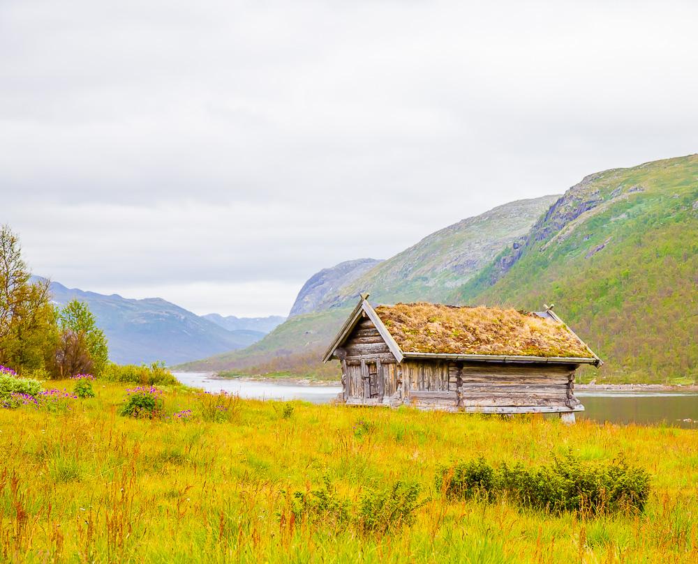 Mogen Hardangervidda Norway