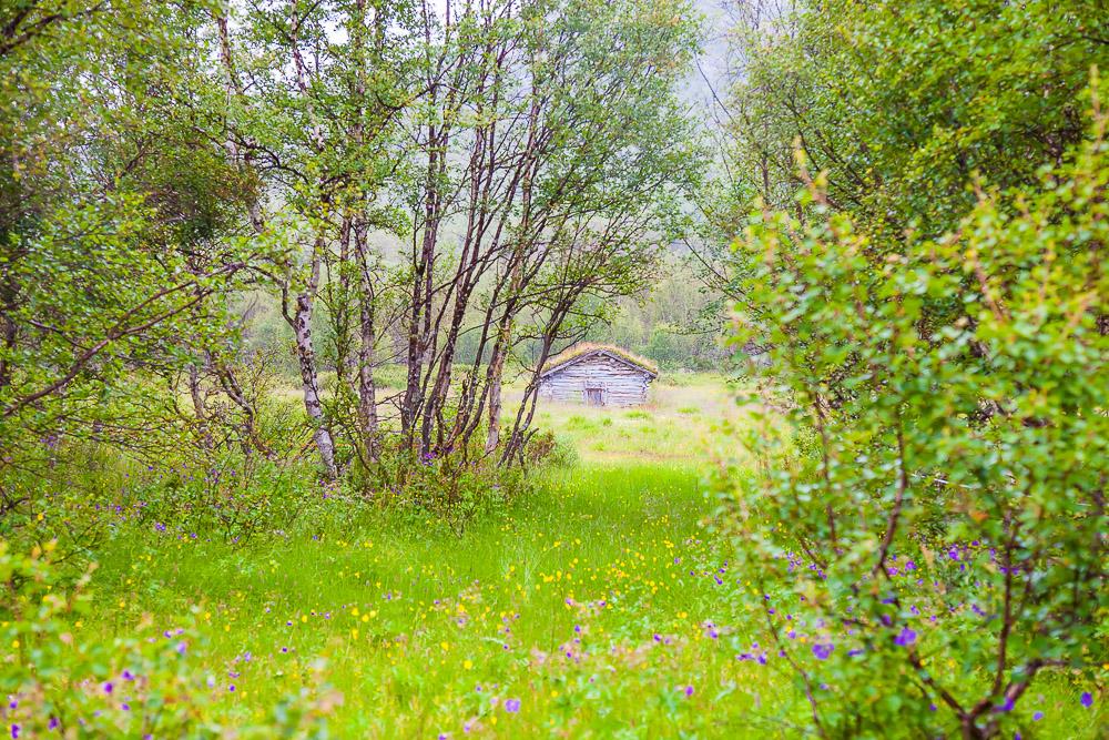 Mogen Hardangervidda Norway national park