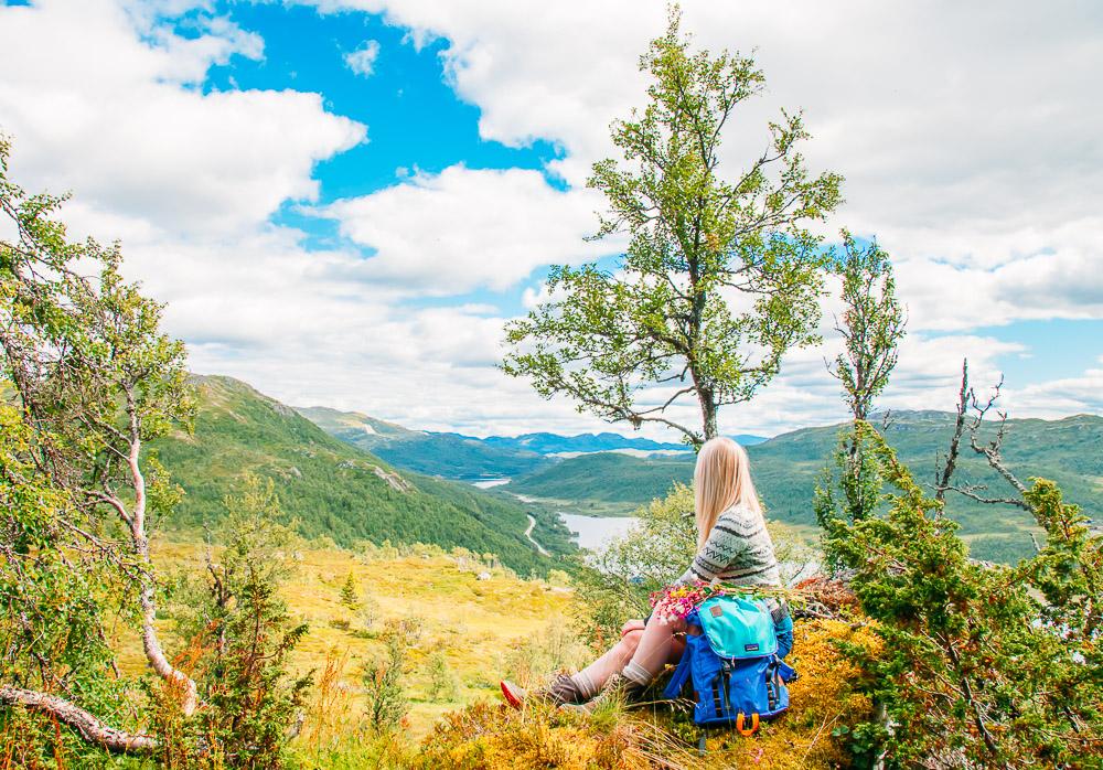 rauland telemark summer norway