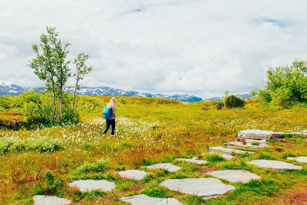 summer telemark norway