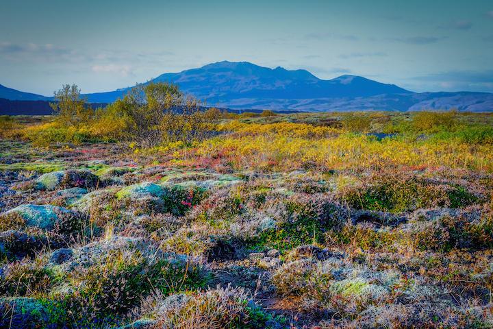 Iceland road trip autumn