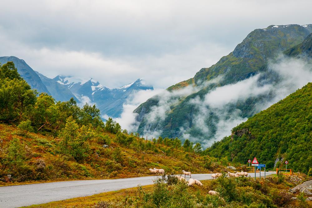 gamle strynefjellsvegen mountains norway road trip tourist route