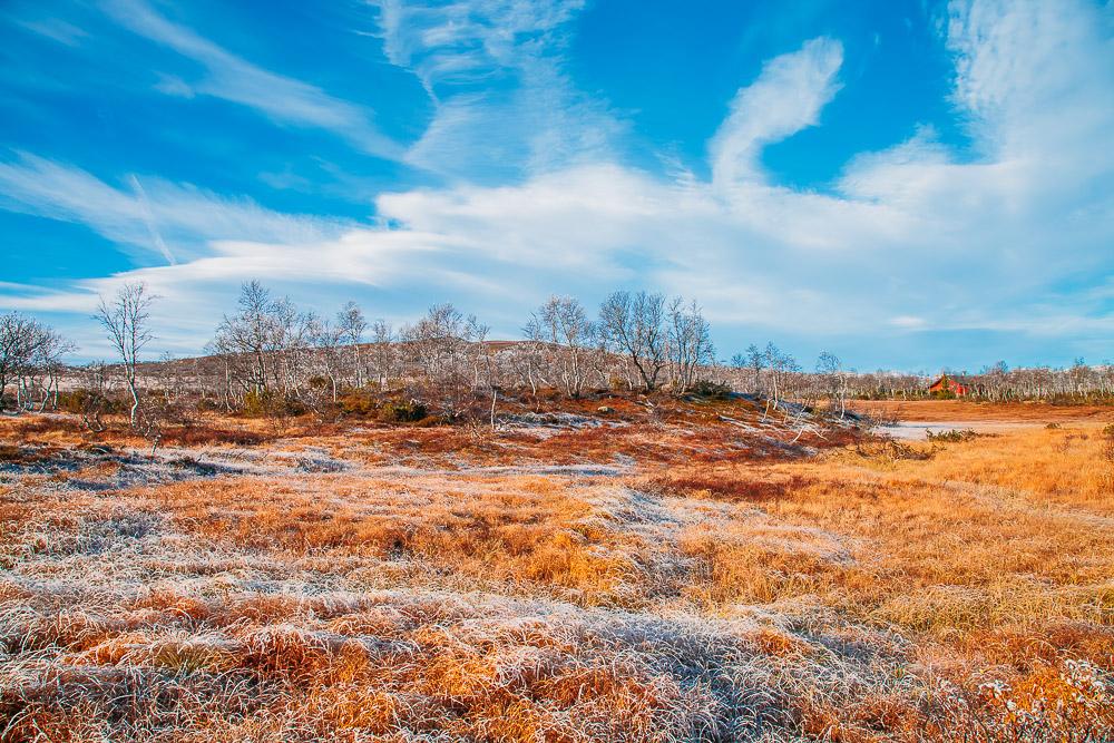 autumn in norway fall rauland telemark hardangervidda