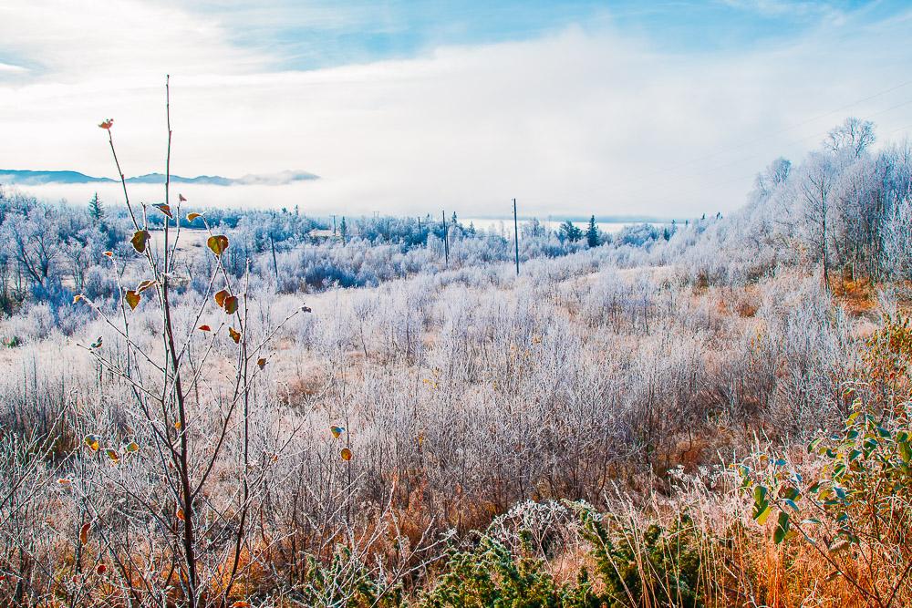 autumn in Norway frost Rauland Hardangervidda