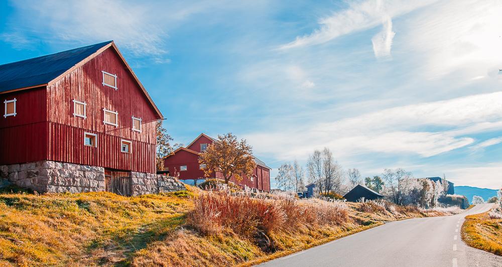 autumn in Norway Rauland Telemark Fall Colors