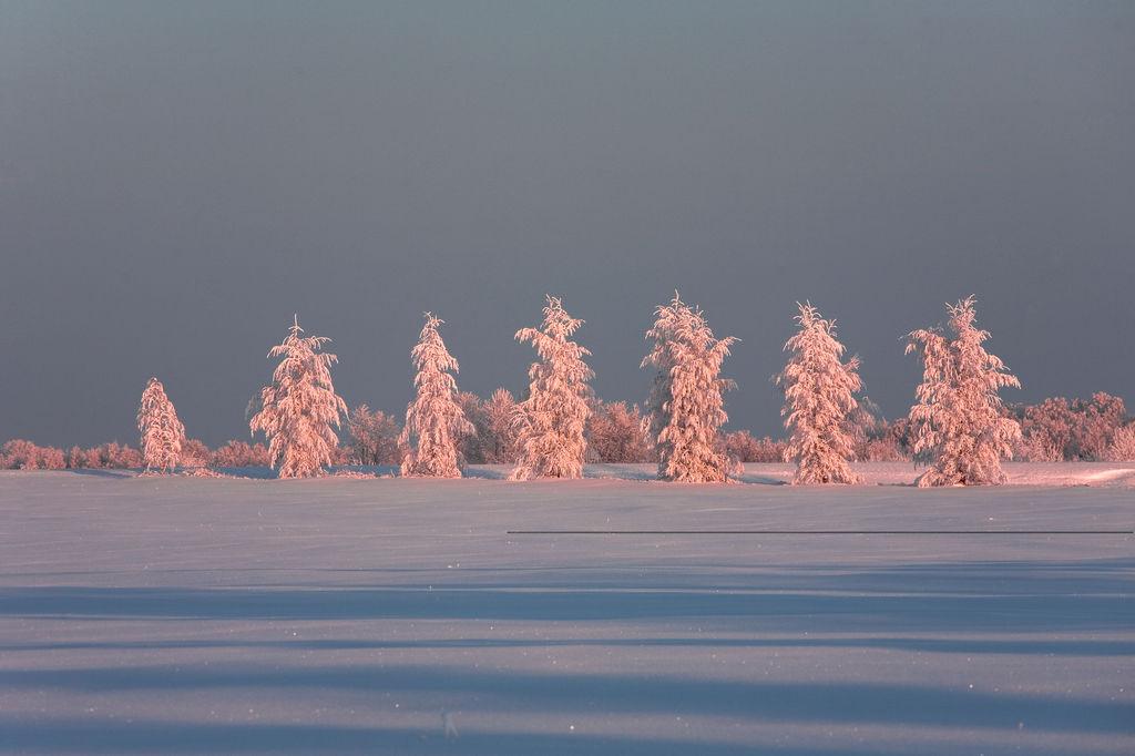 visit estonia winter snow
