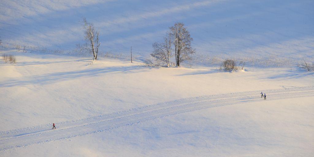 cross country skiing estonia winter
