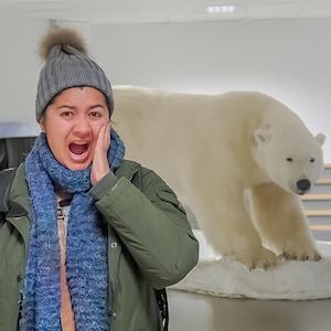 lc-polarbear-3