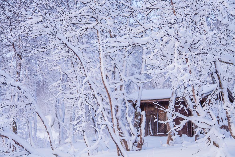 winter norway snow outhouse cabin