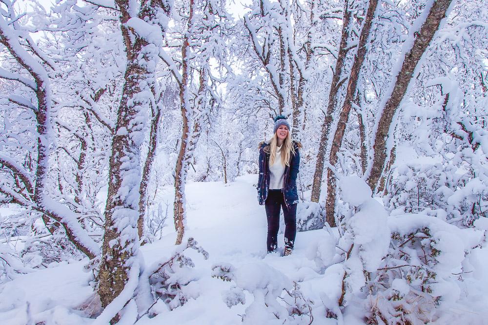 best time to visit norway in winter february march