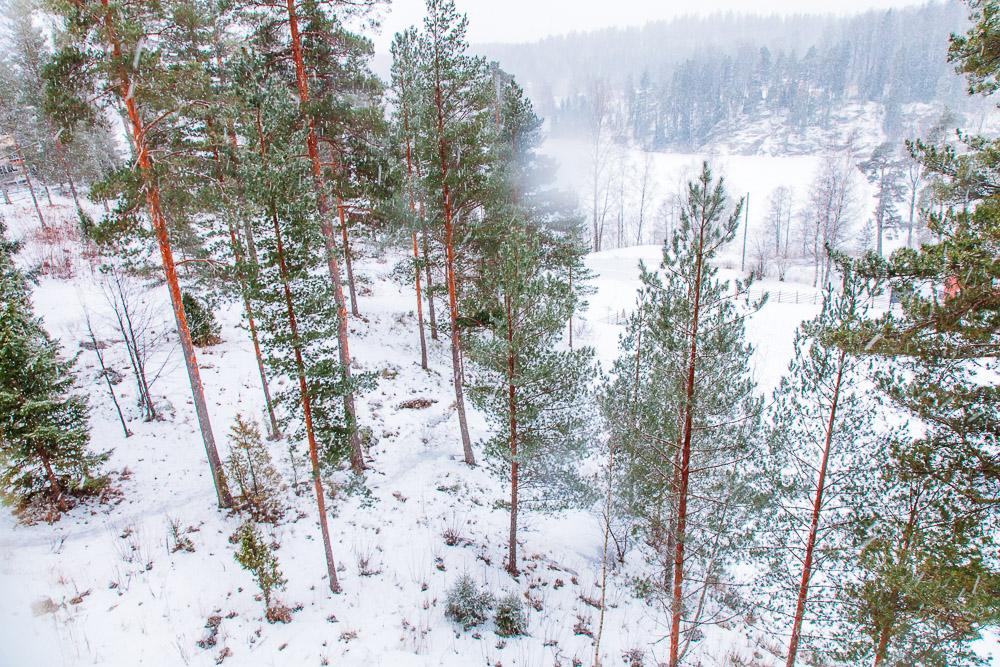 hiking through nuuksio national park espoo finland in winter snow