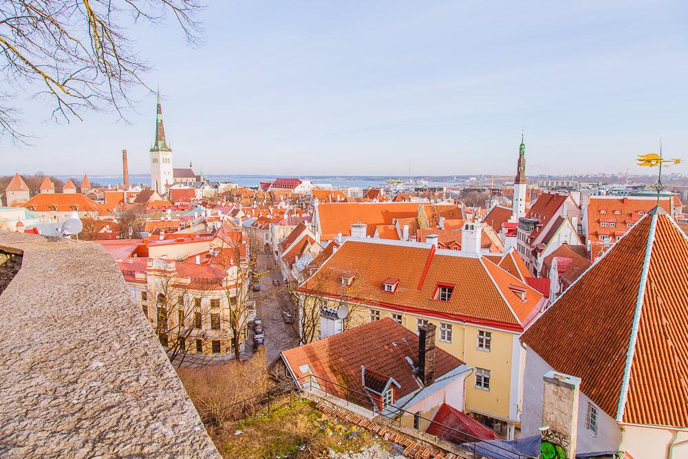 tallinn old town view