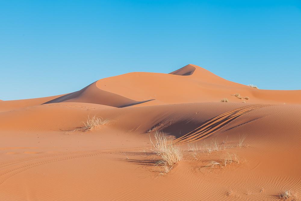 sahara independent camel trek tour merzouga morocco