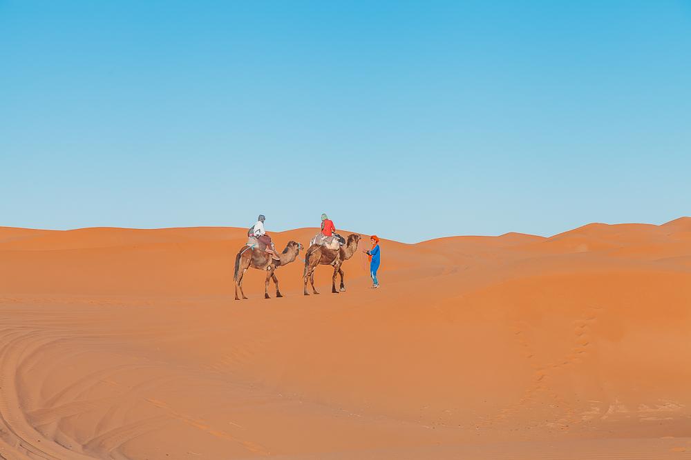 sahara independent camel trek tour merzouga morocco