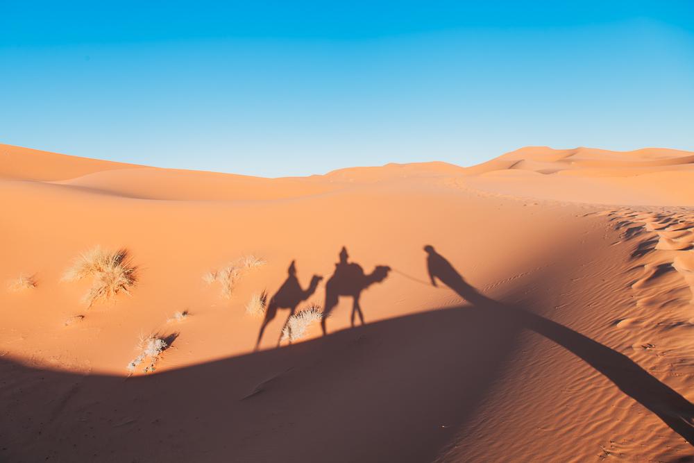 sahara independent camel trek tour merzouga morocco