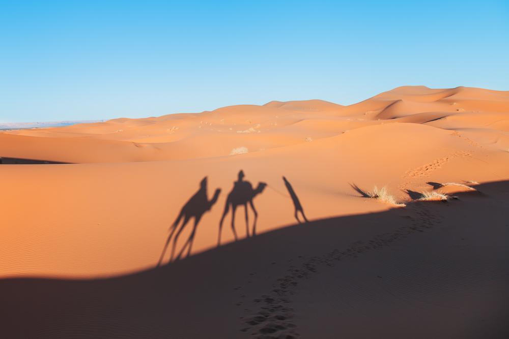 sahara independent camel trek tour merzouga morocco