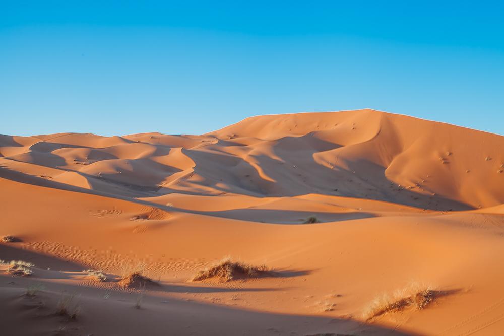 sahara desert camel trek tour merzouga morocco sand dunes