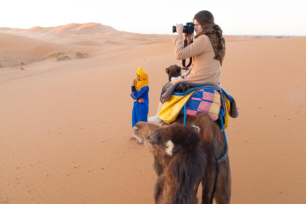 sahara desert morocco camel sunrise photo