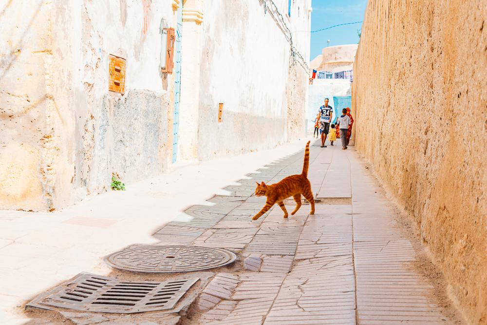 colorful streets essaouira morocco