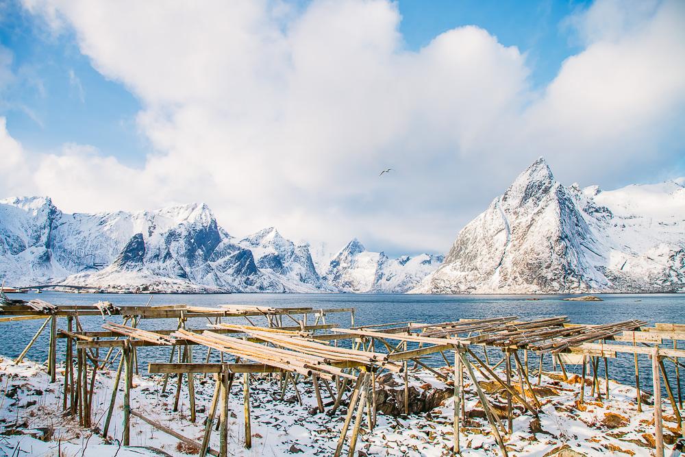 hamnøy reine, lofoten norway winter march snow