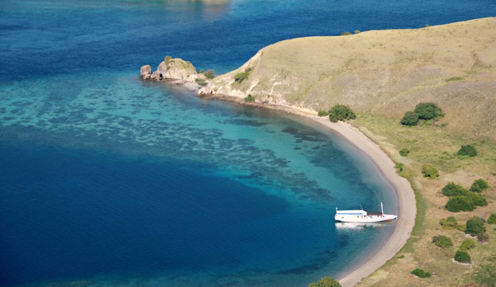 Rinca Island Komodo Dragons Indonesia