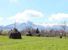 Breb, Romania