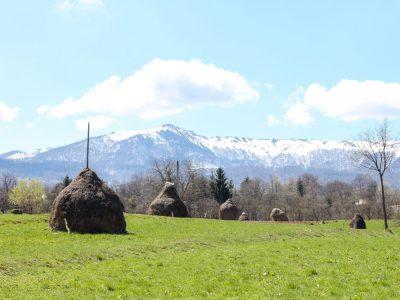 Breb, Romania